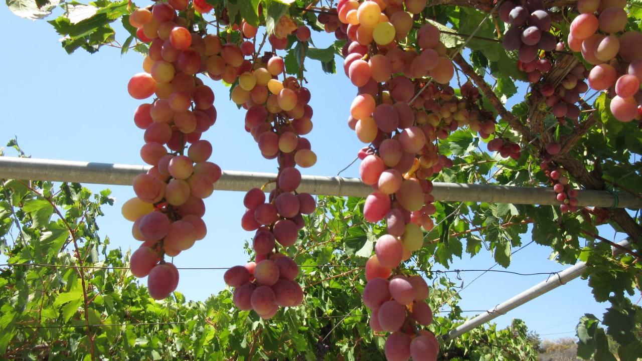 Petroto Villas Kiotári Kültér fotó